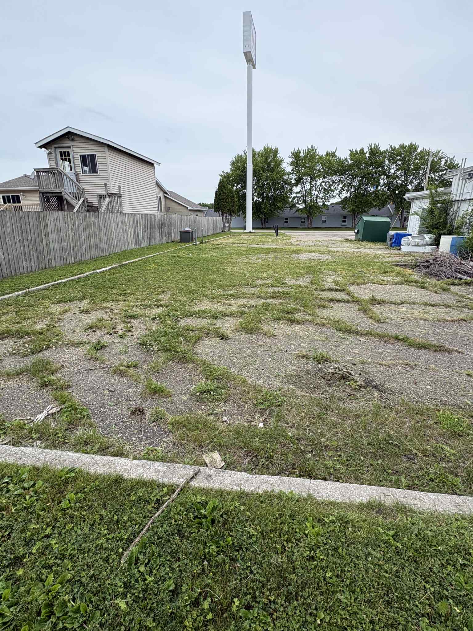 Overgrown yard before lawn care