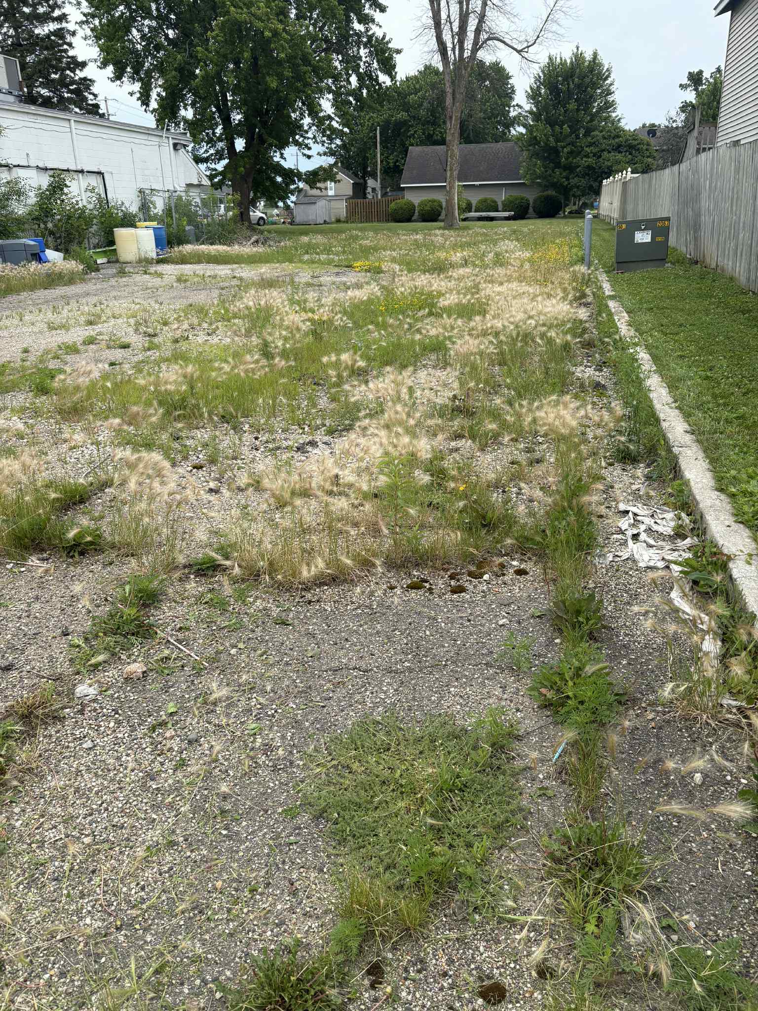Cleaned up yard after lawn care