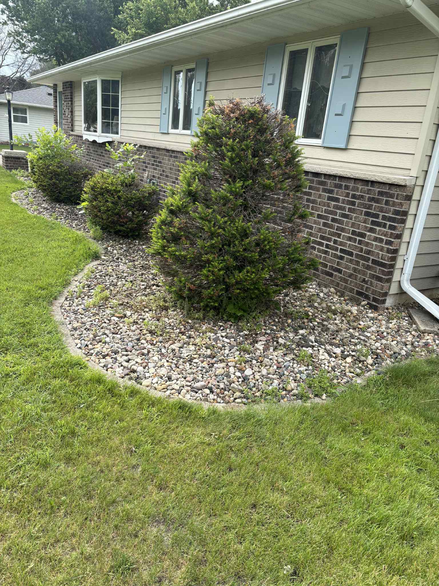 Yard cleared after tree removal